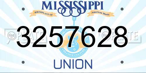 3257628 Mississippi License Plate