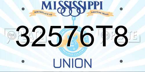 32576T8 Mississippi License Plate