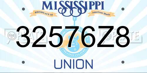32576Z8 Mississippi License Plate