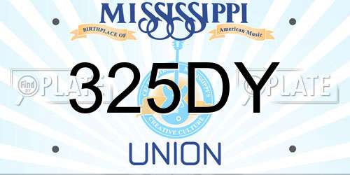 325DY Mississippi License Plate