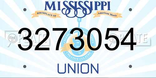 3273054 Mississippi License Plate