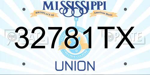 32781TX Mississippi License Plate