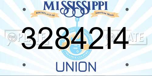 32842I4 Mississippi License Plate