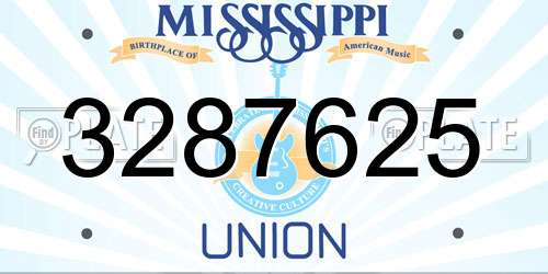 3287625 Mississippi License Plate