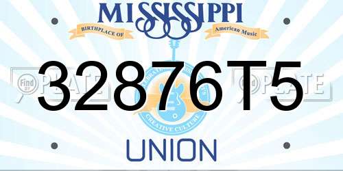 32876T5 Mississippi License Plate