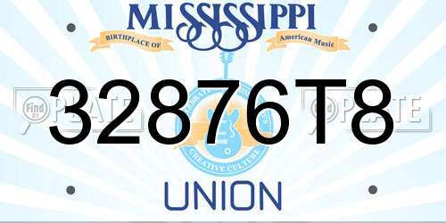 32876T8 Mississippi License Plate