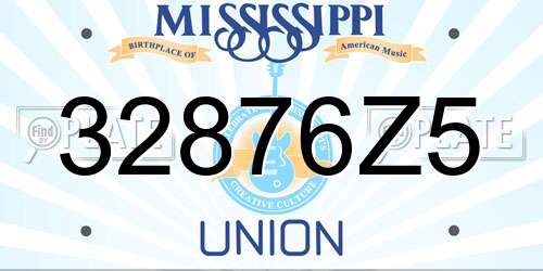 32876Z5 Mississippi License Plate