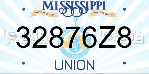 32876Z8 Mississippi License Plate