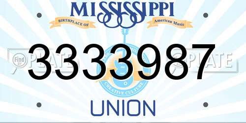 3333987 Mississippi License Plate