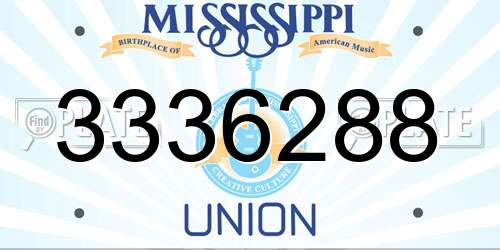 3336288 Mississippi License Plate