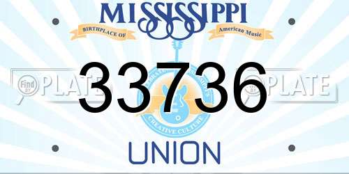 33736 Mississippi License Plate