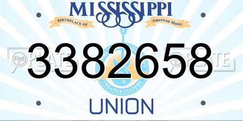 3382658 Mississippi License Plate