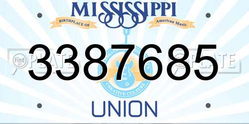 3387685 Mississippi License Plate