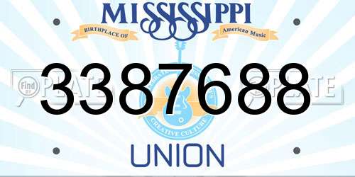 3387688 Mississippi License Plate