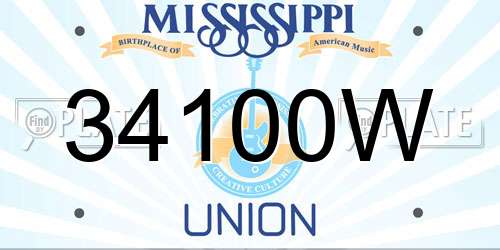 34100W Mississippi License Plate