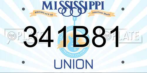 341B81 Mississippi License Plate