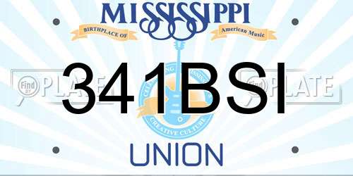 341BSI Mississippi License Plate