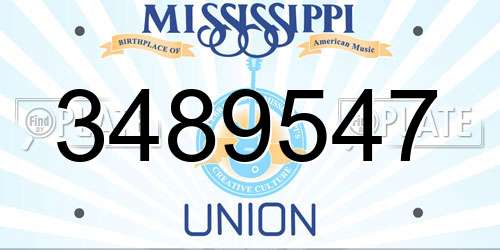 3489547 Mississippi License Plate