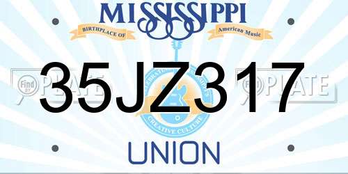 35JZ317 Mississippi License Plate