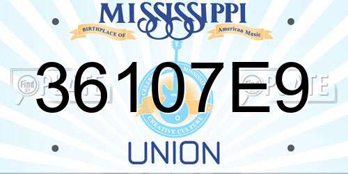36107E9 Mississippi License Plate