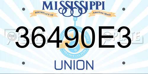 36490E3 Mississippi License Plate