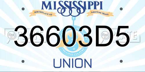 36603D5 Mississippi License Plate