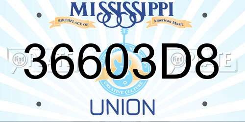 36603D8 Mississippi License Plate