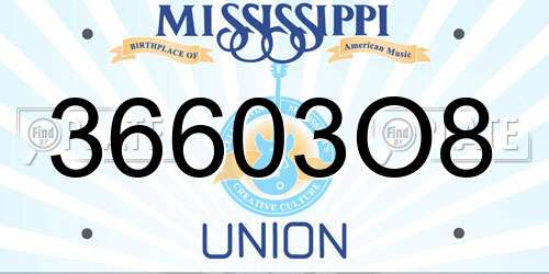 36603O8 Mississippi License Plate