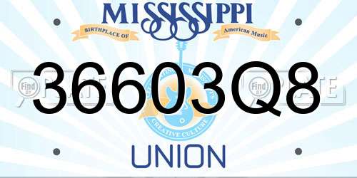 36603Q8 Mississippi License Plate