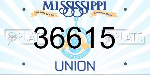 36615 Mississippi License Plate