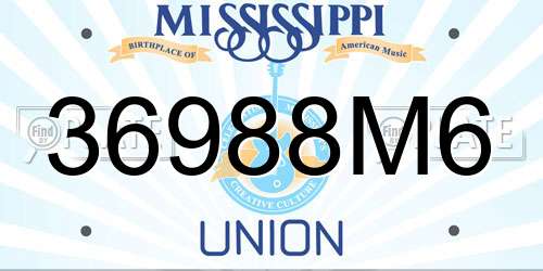 36988M6 Mississippi License Plate