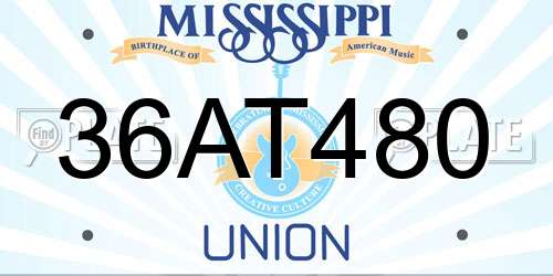 36AT480 Mississippi License Plate