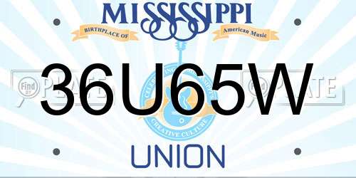 36U65W Mississippi License Plate