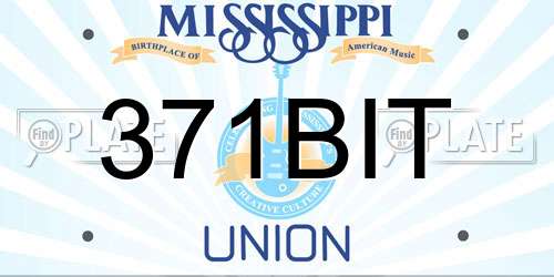 371BIT Mississippi License Plate