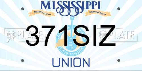 371SIZ Mississippi License Plate