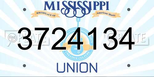 3724134 Mississippi License Plate