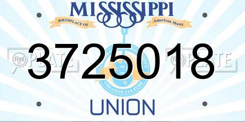 3725018 Mississippi License Plate