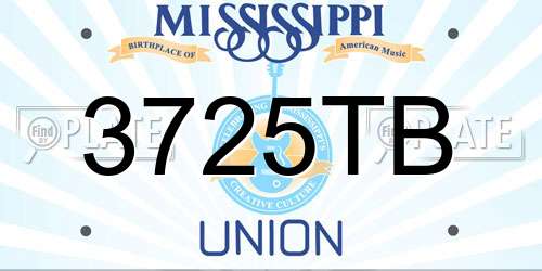3725TB Mississippi License Plate