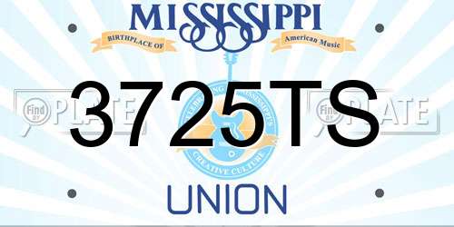 3725TS Mississippi License Plate