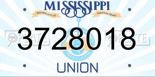 3728018 Mississippi License Plate