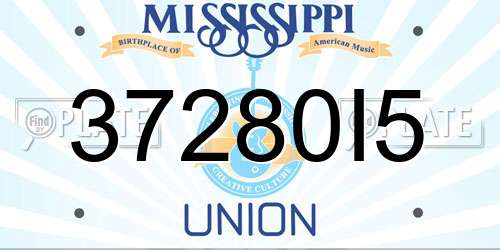 37280I5 Mississippi License Plate