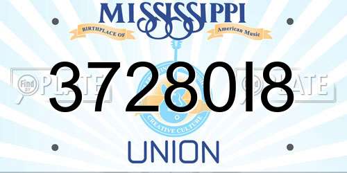 37280I8 Mississippi License Plate