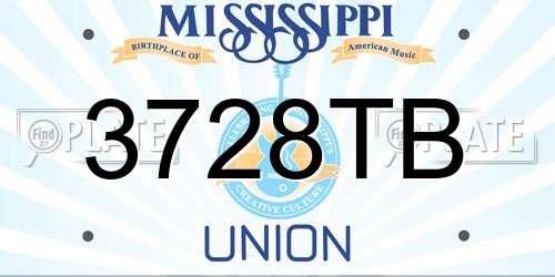 3728TB Mississippi License Plate