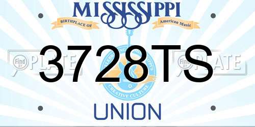 3728TS Mississippi License Plate