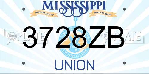 3728ZB Mississippi License Plate