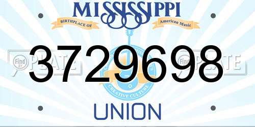 3729698 Mississippi License Plate