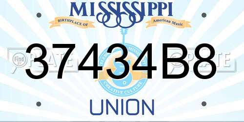 37434B8 Mississippi License Plate