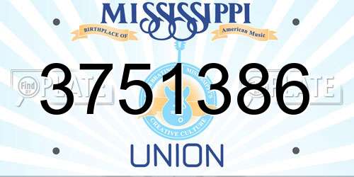 3751386 Mississippi License Plate