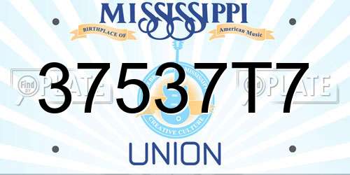 37537T7 Mississippi License Plate