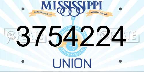 3754224 Mississippi License Plate